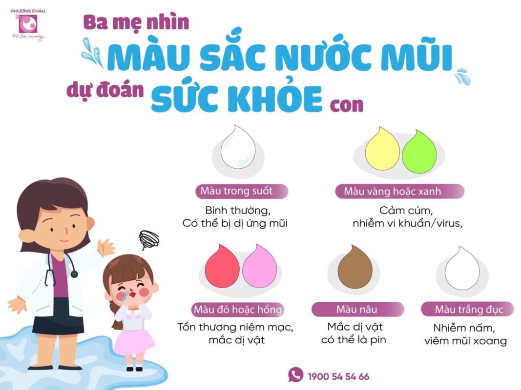 Sơ Múi Là Gì? Gallery 2