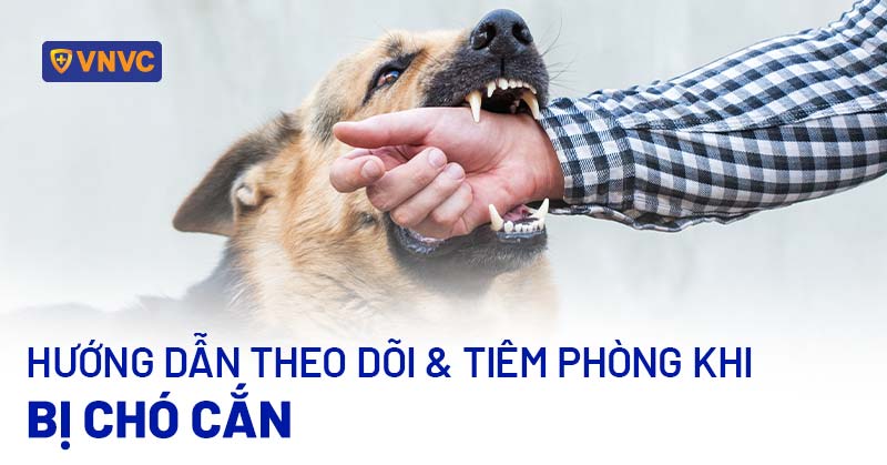 Bị chó cắn tiêm mấy mũi? Gallery 1