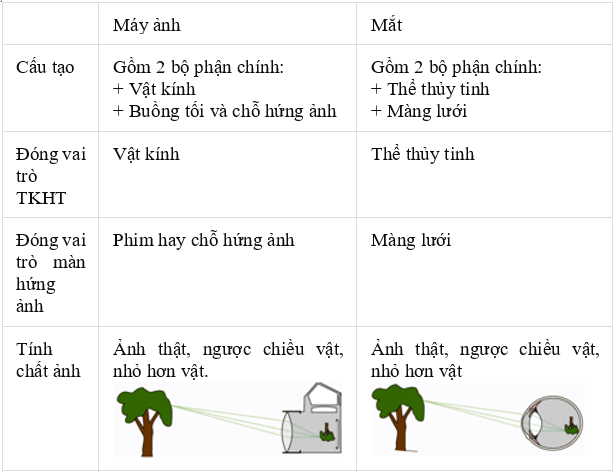 So sánh Mắt Người và Máy Ảnh: Sự Khác Biệt và Giống Nhau