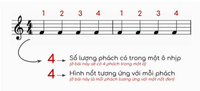 So sánh nhịp 2/4, 3/4 và 4/4
