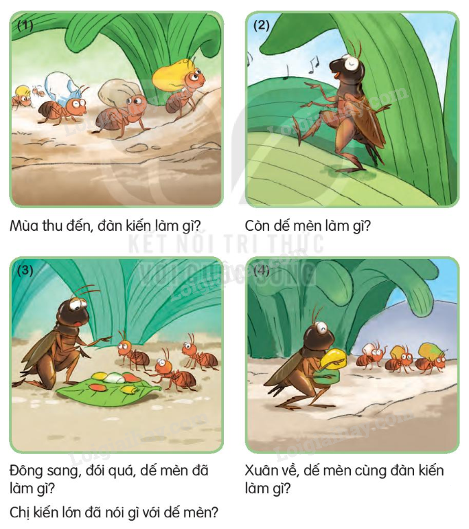 Kiến và Dế Mèn: So sánh tính cách và bài học cuộc sống Gallery 1
