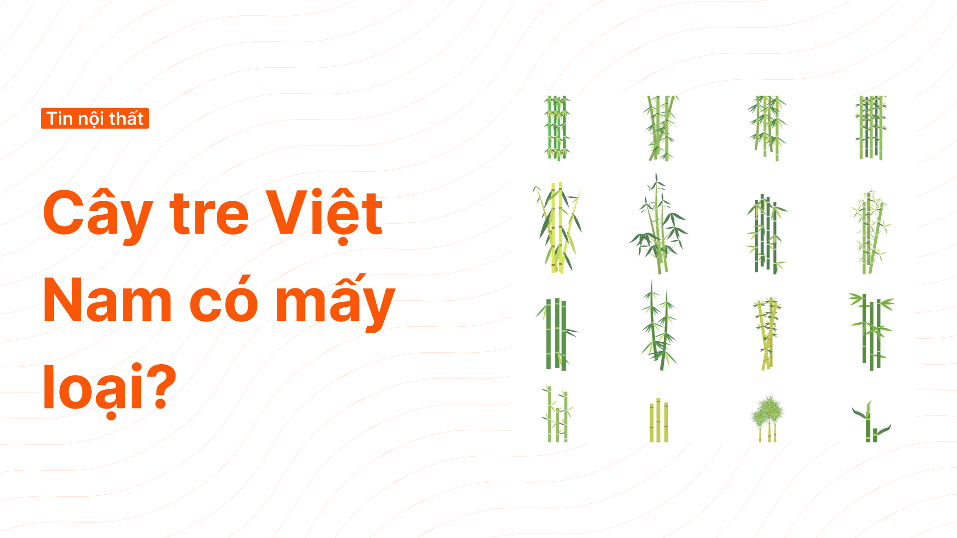 Tre Việt Nam Thép Mới Gallery 2