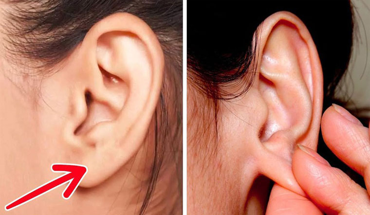 Sờ Tai Có Nghĩa Gì?
