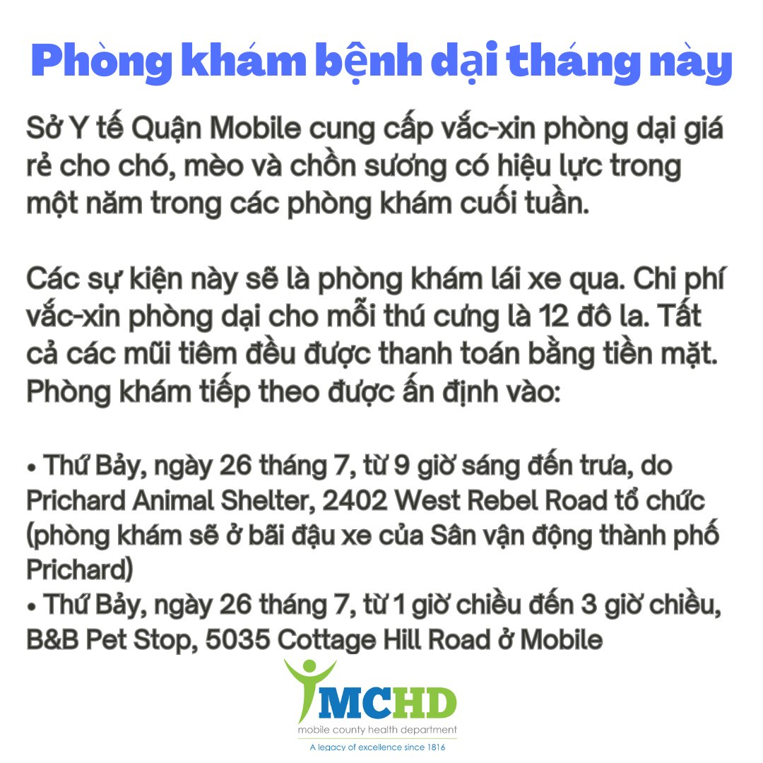 Sờ Tai Có Nghĩa Gì? Gallery 2