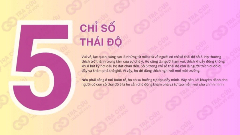 Số Thái Độ 5 Là Gì?