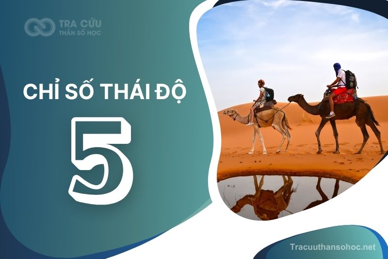 Số Thái Độ 5 Là Gì? Gallery 2