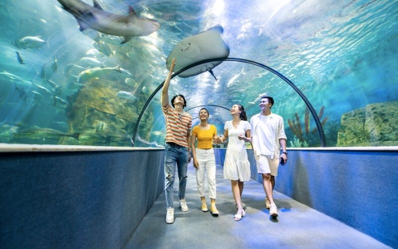Sở Thú Gần Đây: Khám Phá Thế Giới Động Vật Kỳ Diệu