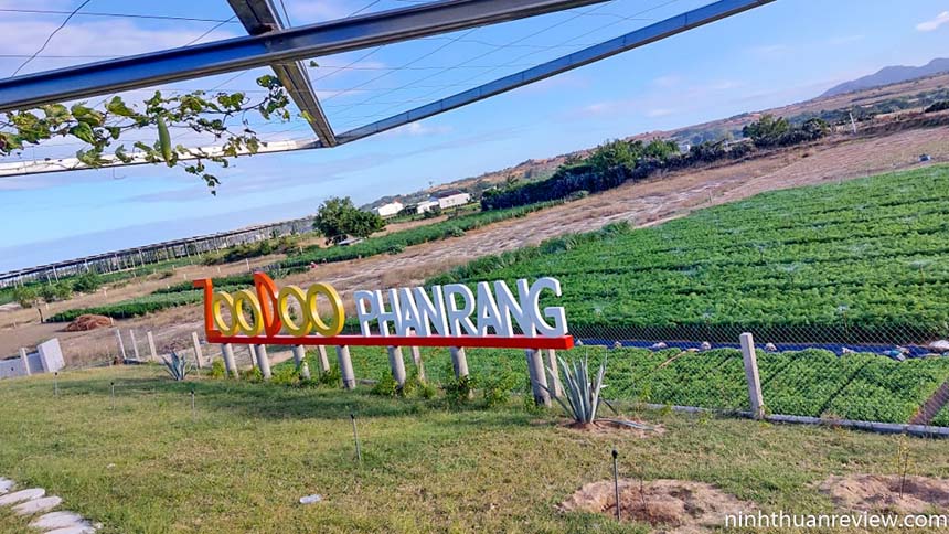 Sở Thú Phan Rang - Khám Phá Thế Giới Động Vật Gallery 2
