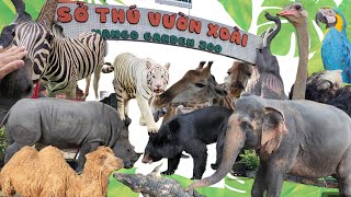 Sở Thú Vườn Xoài - Khám Phá Thế Giới Động Vật