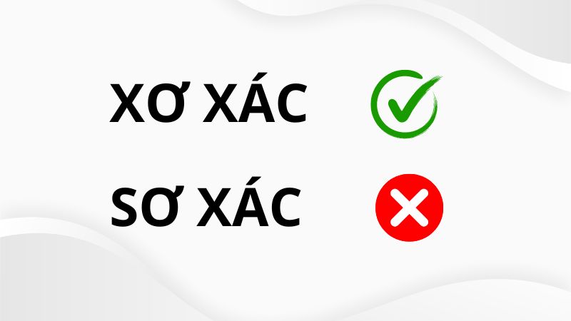 Sơ Xác Là Gì? Định Nghĩa, Đặc Điểm Và Ví Dụ