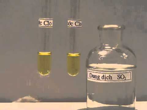 SO2 + Nước Clo: Phản ứng và ứng dụng