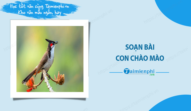 Soạn bài Con Chào Mào ngắn nhất