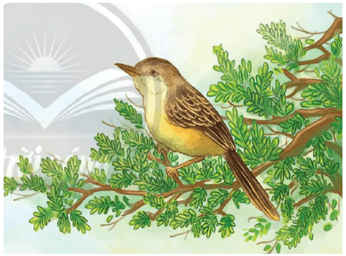 Soạn Bài Con Chim Chiền Chiện Lớp 7