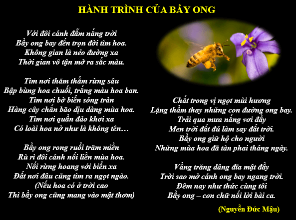Soạn Bài Hành Trình Của Bầy Ong Lớp 6