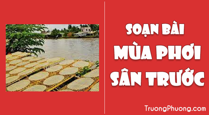 Soạn Bài Mùa Phơi Sân Trước