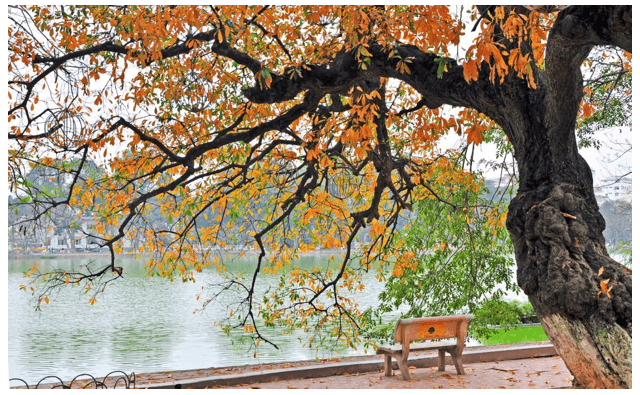 Soạn bài Thu Sang lớp 7 trang 86