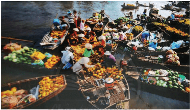 Soạn Chợ Nổi - Nét Văn Hóa Sông Nước Miền Tây