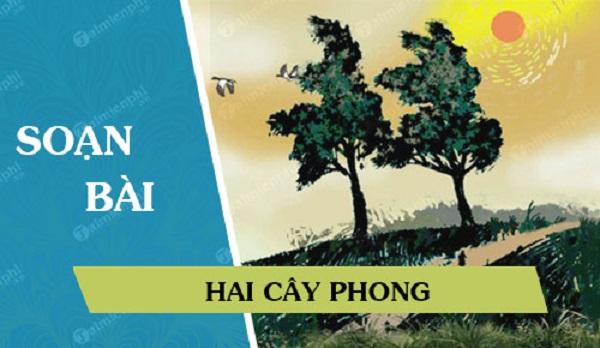Soạn bài Hai cây phong