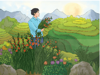 Soạn Làng Lẻ Sapa