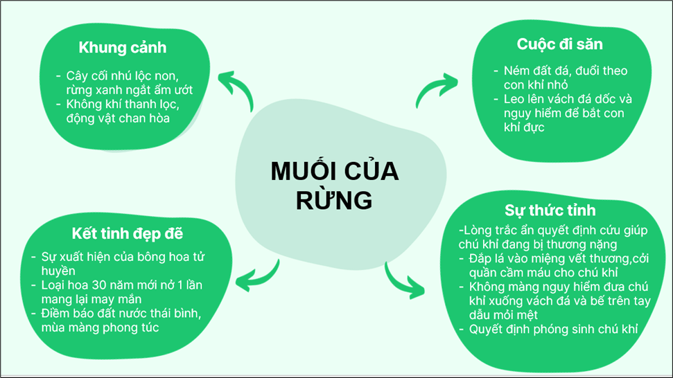 Soạn Muối Của Rừng