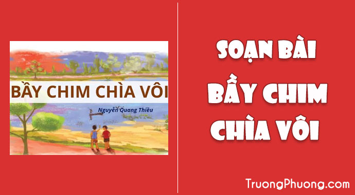 Soạn Văn 7: Bầy Chim Chìa Vôi Gallery 1