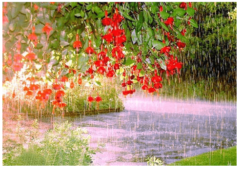 Soạn Văn Bài Bảo Kính Cảnh Giới