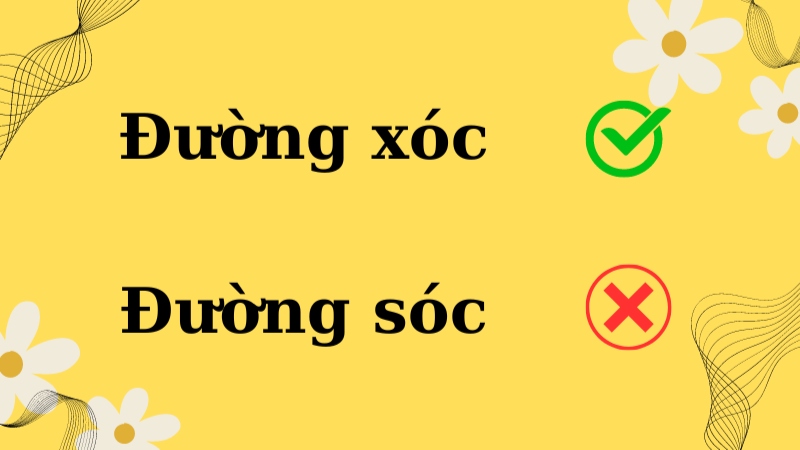 Sóc hay Xóc? Sự khác biệt giữa hai từ này