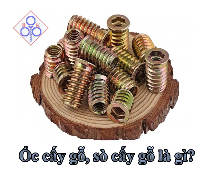Sốc Óc Là Gì?
