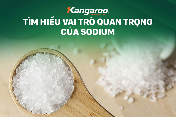 Sodium Ký Hiệu Là Gì? Gallery 1