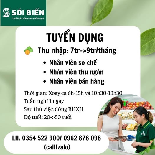 Tuyển Dụng Sói Biển: Cơ Hội Nghề Nghiệp Hàng Hải Hấp Dẫn