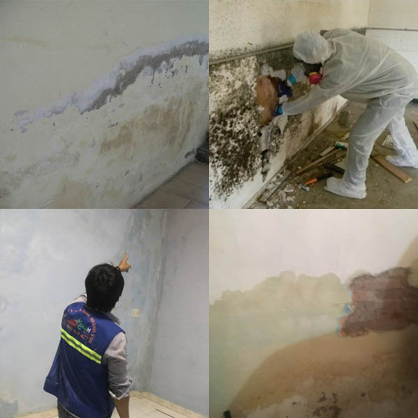 Sơn Chống Thấm Ngược Tường Trong Nhà