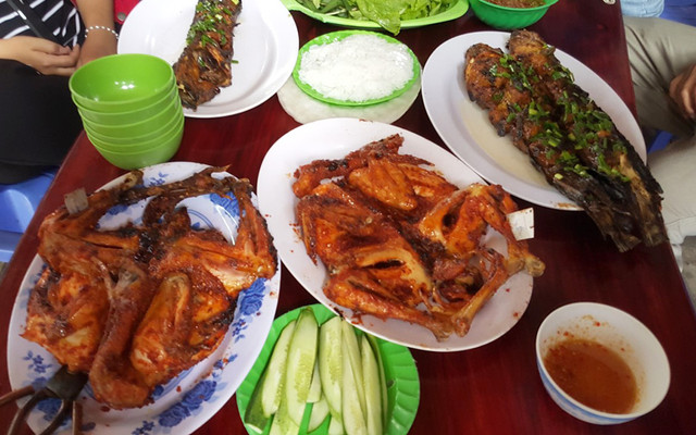 Sơn Thủy Ngư Quán - Thiên đường cá cảnh dành cho bạn