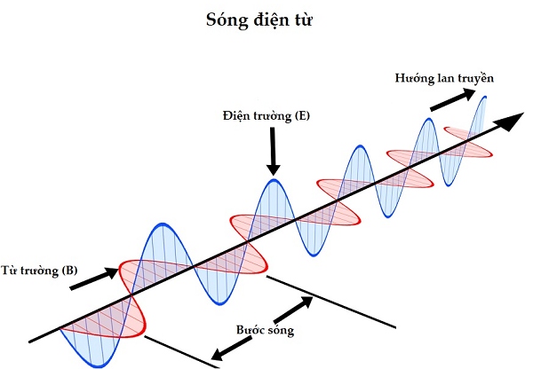 Sóng dọc là sóng các phần tử dao động cùng phương với phương truyền sóng