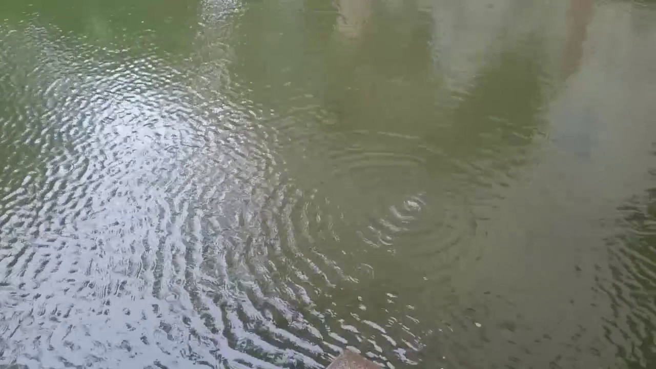 Sóng Lăn Tăn