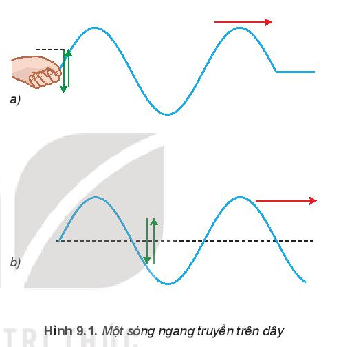 Sóng ngang là loại sóng có phương dao động vuông góc với phương truyền sóng