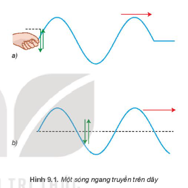 Sóng Ngang Là Sóng Có Phương Dao Động Vuông Góc Với Phương Truyền Sóng