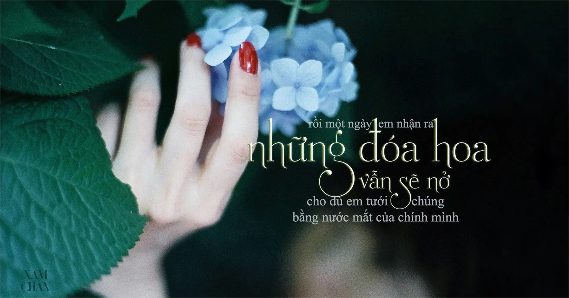 Những Status Hay Về Cuộc Sống: Triết Lý, Cảm Xúc Và Niềm Hy Vọng