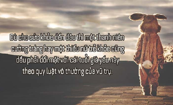 Status Chất - Bí Kíp Viết Status Hay và Thu Hút Người Đọc