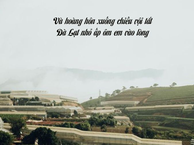 Status về Đà Lạt: Những Câu Nói Hay và Ấn Tượng Nhất Gallery 2