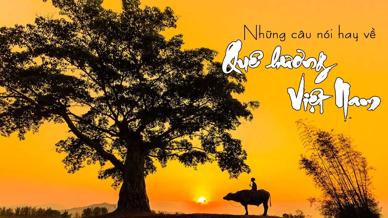Những Status Hay Về Quê Hương Gợi Lên Bao Kỷ Niệm Gallery 2