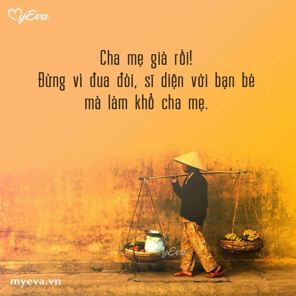 Những Status Hay và Ý Nghĩa Nhất Về Cha Mẹ
