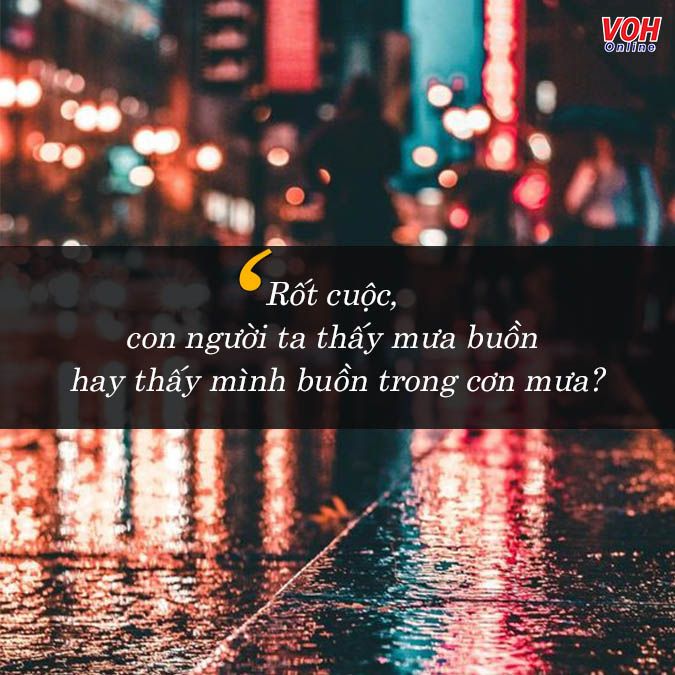 Status Mưa: Những Câu Nói Hay Về Mưa Và Cảm Xúc Gallery 1