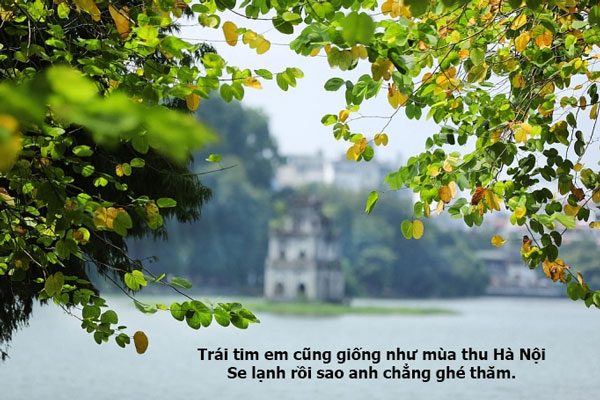 Những Status Mùa Thu Thả Thính "Gây Nghiện" - Thu Vàng, Tình Yêu Ngọt Ngào Gallery 2