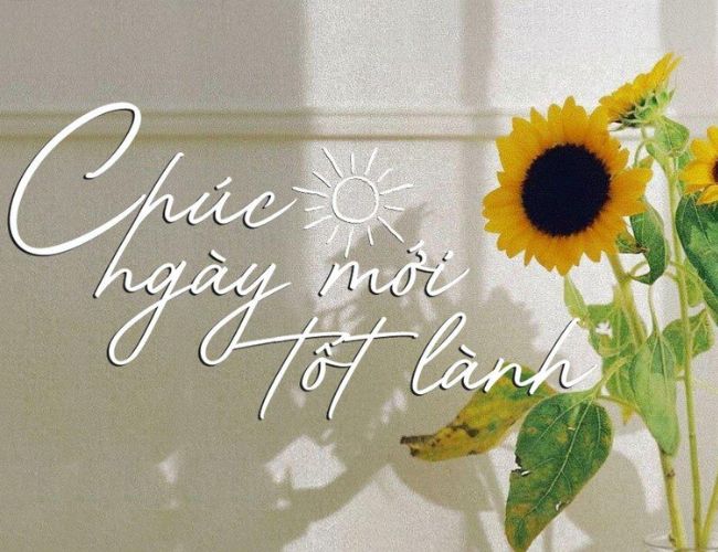 Status Ngày Mới Năng Lượng: Gợi Ý Hay Nhất Để Bắt Đầu Ngày Mới Tràn Đầy Sức Sống Gallery 2
