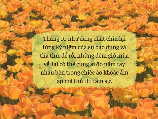 Status Tháng 10: Những Câu Nói Hay, Ngắn Gọn, Ý Nghĩa Về Mùa Thu Gallery 2