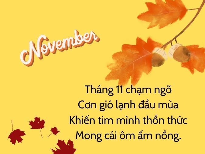 Status Tháng 11 Hay Nhất: Cập Nhật Trạng Thái Mạng Xã Hội Thu Hút Người Xem