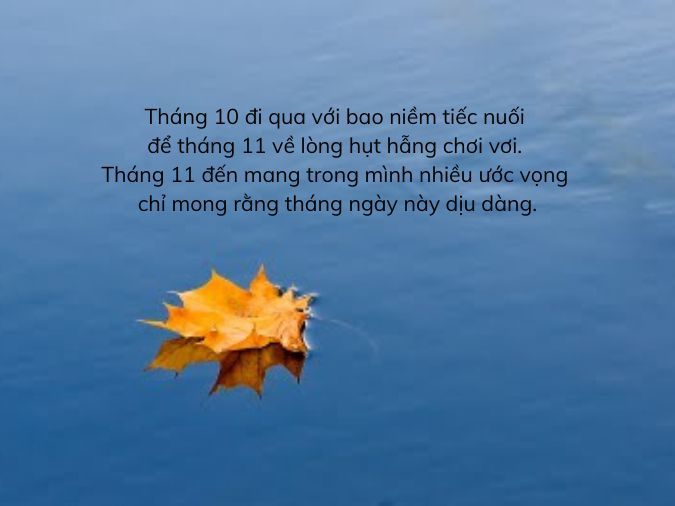 Status Tháng 11 Hay Nhất: Cập Nhật Trạng Thái Mạng Xã Hội Thu Hút Người Xem Gallery 1