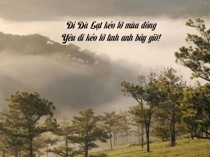Status về Đà Lạt: Những Câu Nói Hay và Ấn Tượng Nhất
