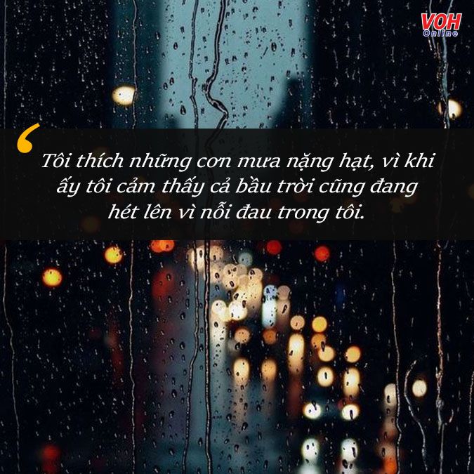 Status hay về trời mưa: Những câu nói, hình ảnh và cảm xúc Gallery 2