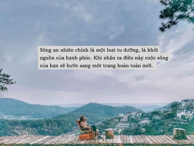 STT An Nhiên Tự Tại: Tìm Về Sự Bình Yên Trong Tâm Hồn Gallery 2